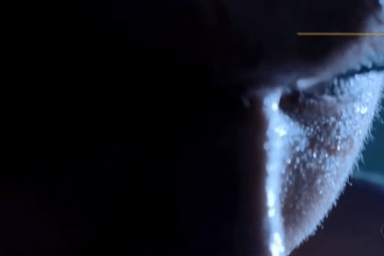 Image 1 from DTSweat partner gallery