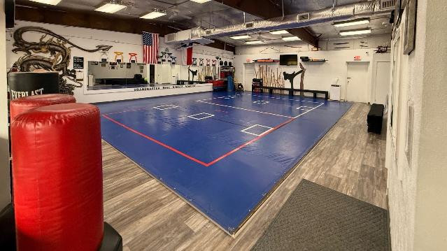 Image 1 from Grandmaster BSAK Karate Academy partner gallery