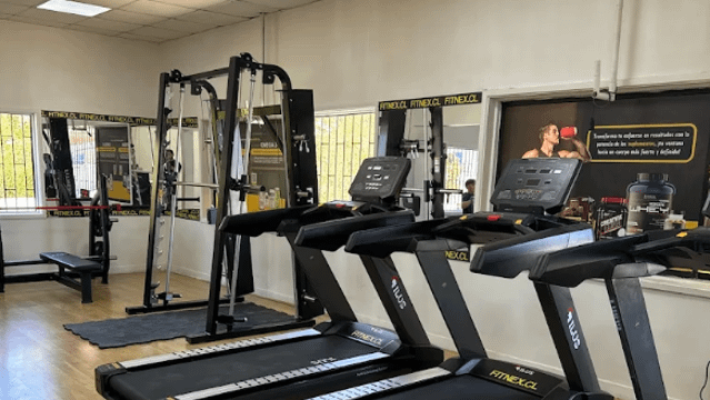 Imagen 1 de la galería del partner Fitnex Viña del Mar