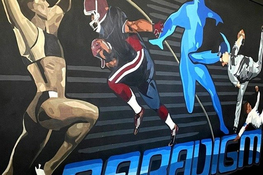 Image 1 from PARADIGM PERFORMANCE CENTER partner gallery