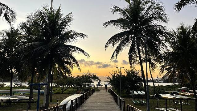 Imagem 2 da galeria do parceiro JUBARTE VA'A | Vitória