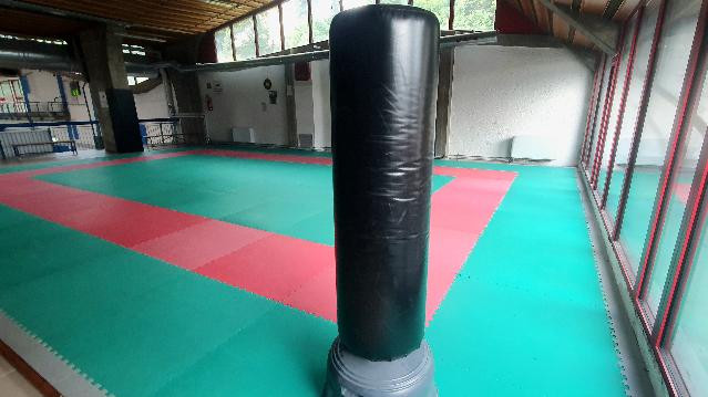 Immagine 2 dalla galleria del partner Perform BELLUNO