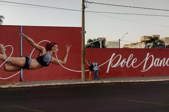 Imagem 2 da galeria do parceiro Studio Flex Pole Dance