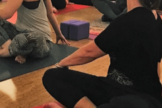 Image 3 from 5 Koshas Yoga & Wellness partner gallery