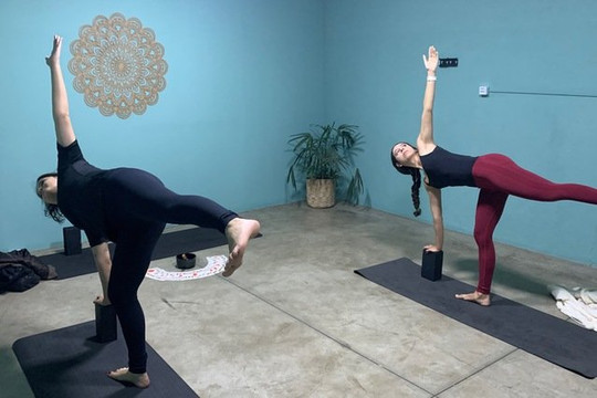 Imagem 1 da galeria do parceiro Yoga Nine - Patrícia Vasconcelos