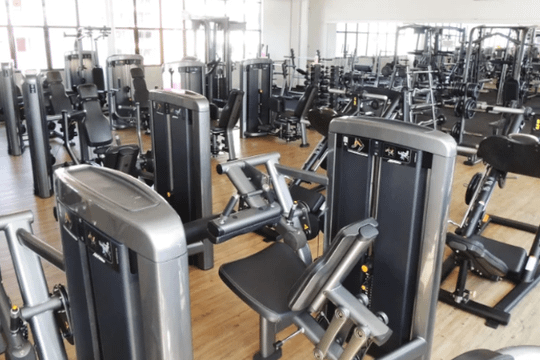 Imagem 1 da galeria do parceiro Prodígio Academia