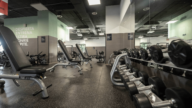 Imagen 1 de la galería del partner Vivagym San Roque