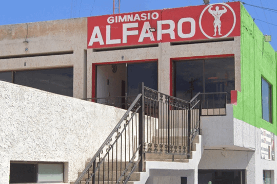Imagen 2 de la galería del partner Gimnasio Alfaro Mixto