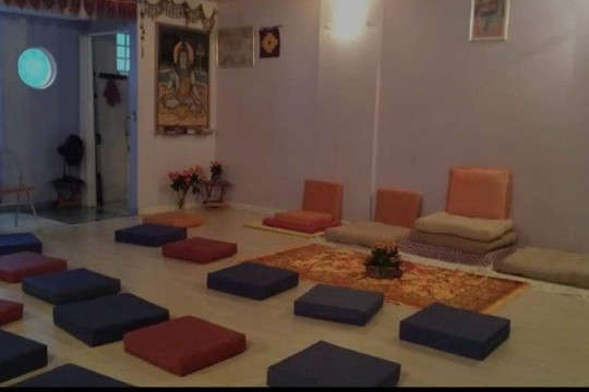 Imagem 1 da galeria do parceiro Alapadma Yoga