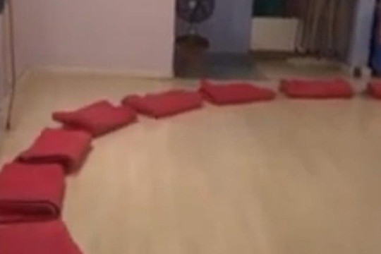 Imagem 3 da galeria do parceiro Alapadma Yoga