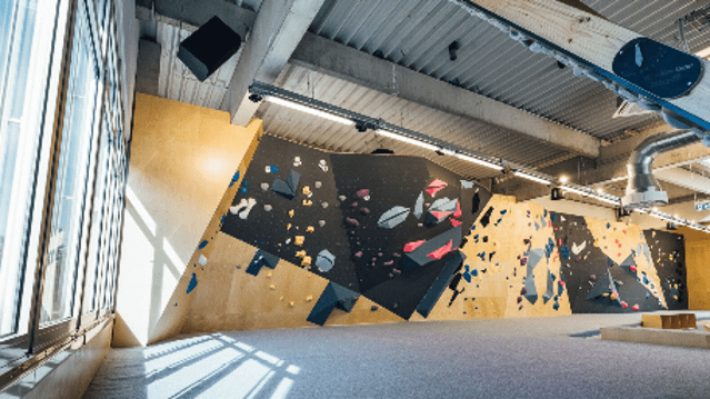 Bild 2 von ELEMENT Boulders Köln Partnergalerie