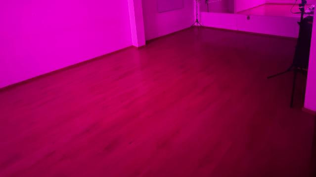 Imagen 2 de la galería del partner Danza Oriental MX