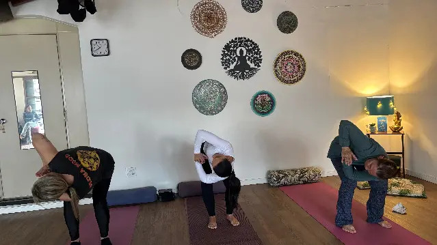 Imagem 1 da galeria do parceiro Stúdio de Yoga e Meditação San Consul