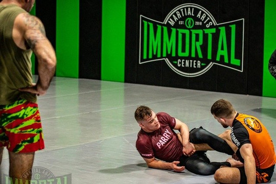 Image 1 from Immortal Martial Arts Center partner gallery