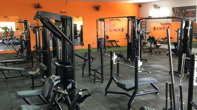 Imagem 3 da galeria do parceiro Fênix Studio