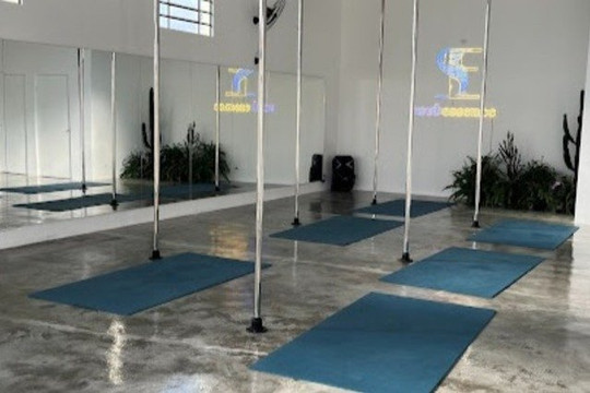 Imagem 3 da galeria do parceiro Soul Essence Studio Pole Dance