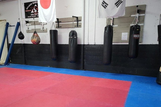 Image 2 from Wilson Fitness and Martial Arts partner gallery