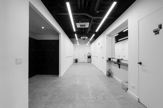 Image 3 from Y7 Studio Williamsburg partner gallery