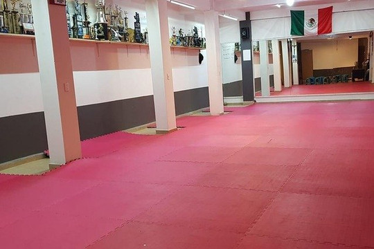 Imagen 1 de la galería del partner Shikara San Cristóbal