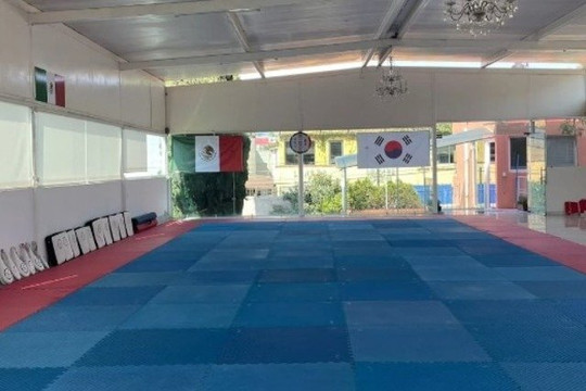 Imagen 3 de la galería del partner Instituto Tollan De Tae Kwon Do San Marcos