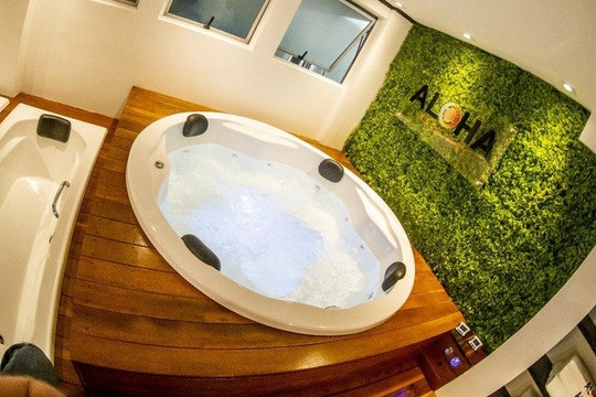 Imagem 1 da galeria do parceiro Aloha Recovery - Barigui