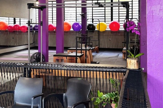 Imagem 1 da galeria do parceiro Fisio Luise Lara / Studio