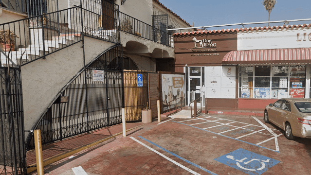 Image 2 from Renzo Gracie Los Angeles partner gallery