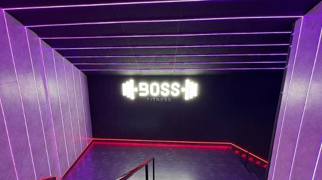Imagen 1 de la galería del partner Boss Fitness Santiago