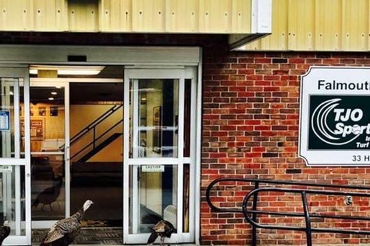 Image 2 from Falmouth Sports Center Health Club partner gallery