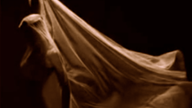 Image 1 from Belly Dance Astoria by Dance of Venus partner gallery