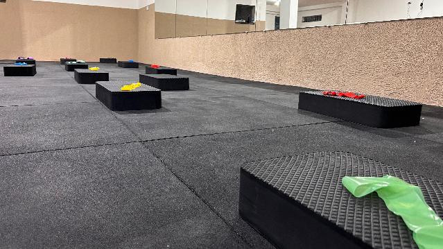 Imagem 1 da galeria do parceiro ALPHA STUDIO PERFORMANCE