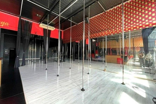 Imagem 1 da galeria do parceiro Freya Aero Dance