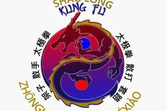 Imagem 1 da galeria do parceiro Wushu Americana – Vila Amorin