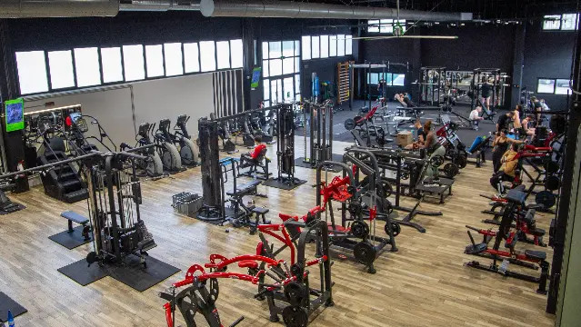 Immagine 1 dalla galleria del partner First Fit Rovigo