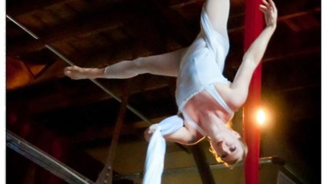 Image 1 from Voler - Thieves of Flight partner gallery