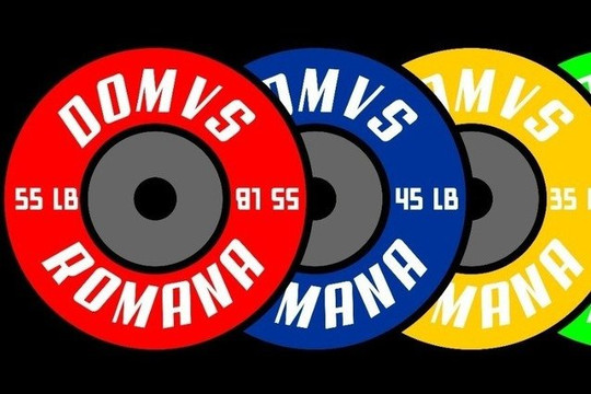 Imagem 1 da galeria do parceiro Crossfit Domvs Romana