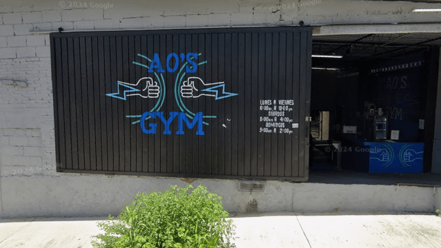 Imagen 2 de la galería del partner Ao's Gym
