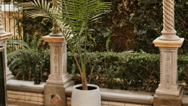 Image 2 from Hidden Sanctuary by Human Aeon partner gallery