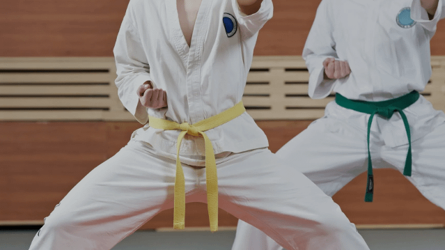 Image 2 from Treasure Valley School of Karate partner gallery