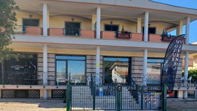 Immagine 2 dalla galleria del partner Modus Vivendi Boxing Club