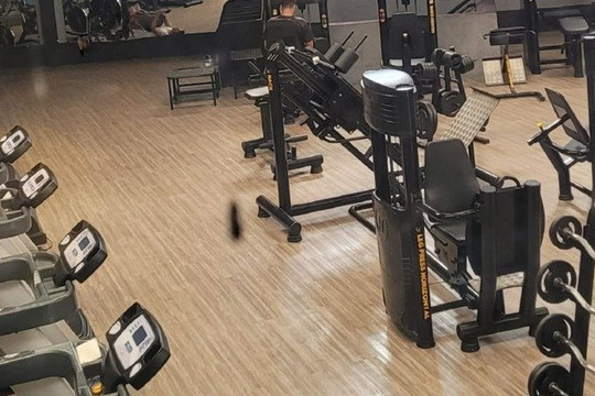 Imagem 1 da galeria do parceiro 1RMSports