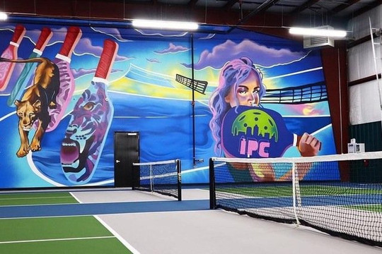 Image 1 from Indianapolis Pickleball Club partner gallery