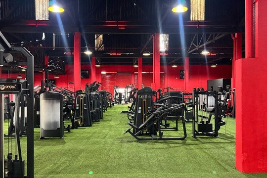 Imagem 1 da galeria do parceiro Kings | Centro de Treinamento