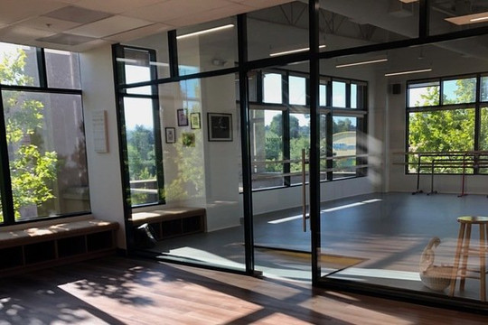 Image 1 from The Ballet School Performing Arts partner gallery