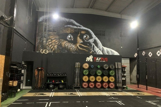 Imagem 1 da galeria do parceiro Crossfit Taytus Fraga Maia