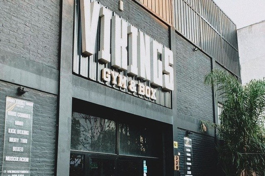 Imagen 2 de la galería del partner Vikings