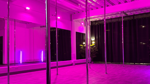 Image 3 from Savage Pole Studio partner gallery