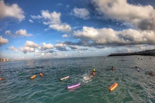 Imagem 1 da galeria do parceiro Sharks Sports