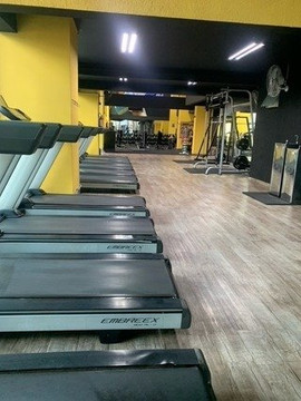 Imagem 10 da galeria do parceiro PhD Sports - Champagnat