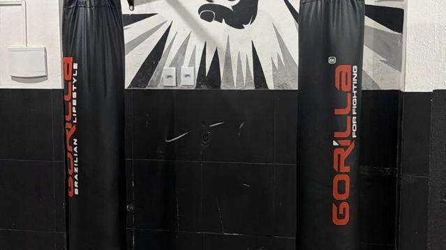 Imagem 3 da galeria do parceiro Pro Fighter ( Training Zone )